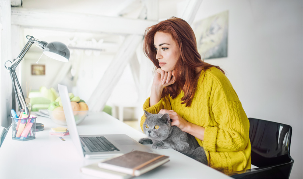 Woman in yellow sweater looking at laptop with gray cat in her lap