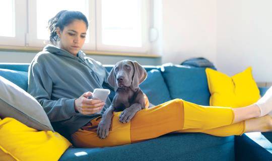 Woman with dog looking at phone