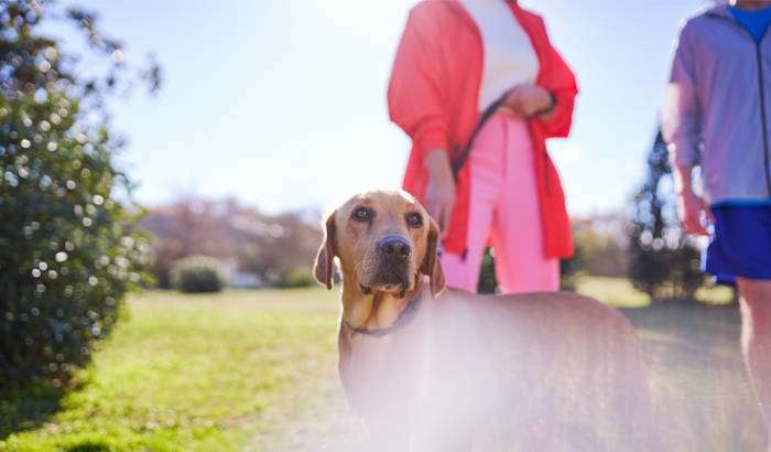 two people talking in park with dog