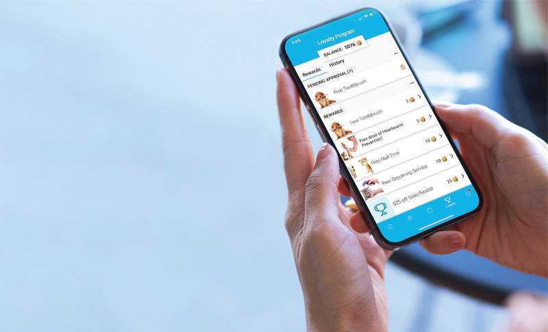 Person looking at Client Loyalty Program on phone