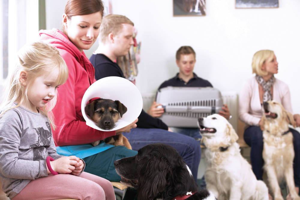 Vet clinic lobby with pet owners and pets