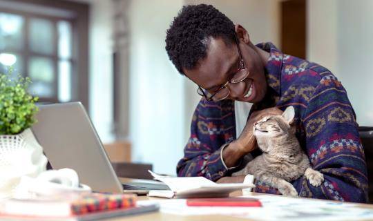 Millennial man petting cat in front of laptop