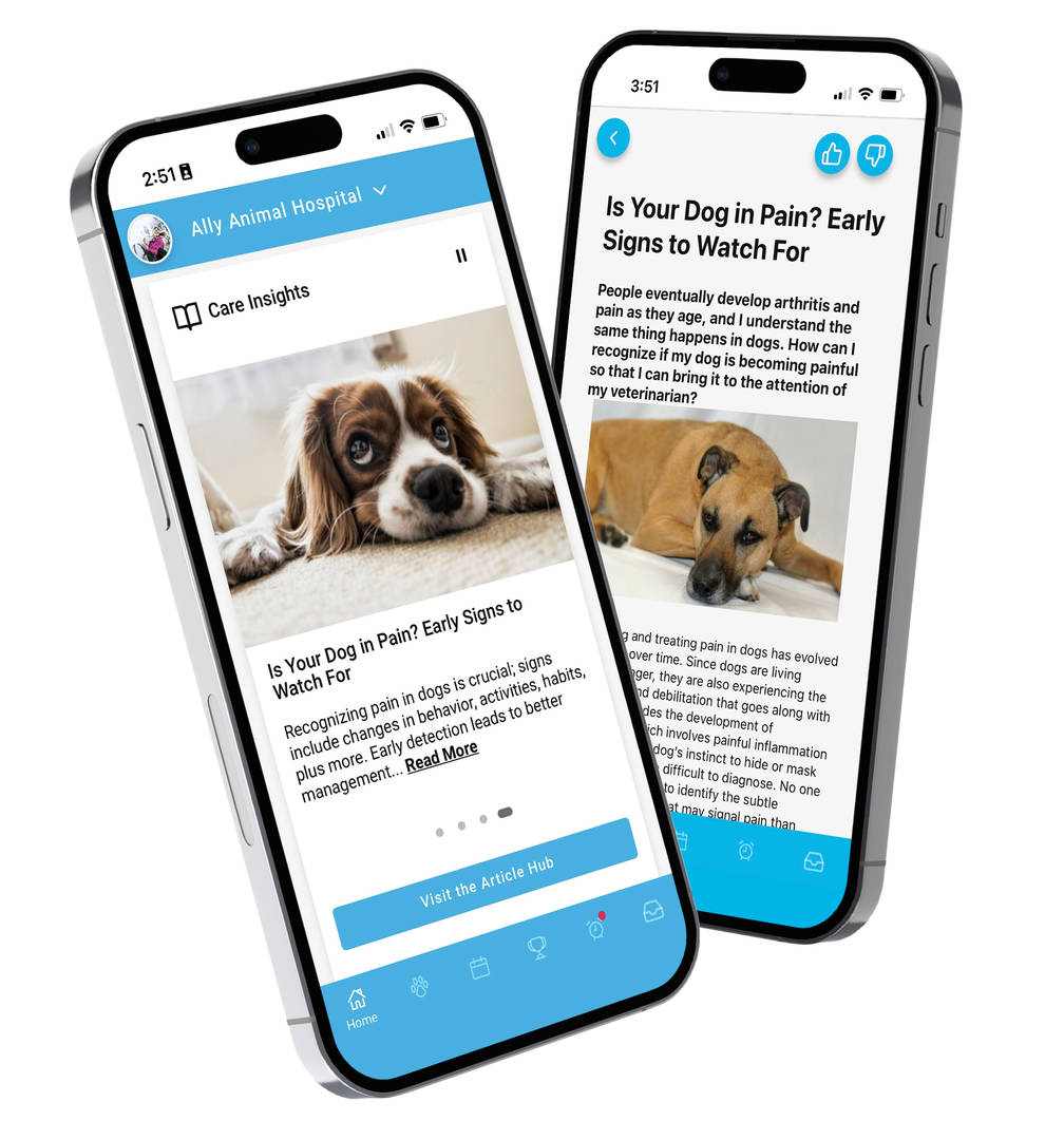 PetPage articles on Iphone