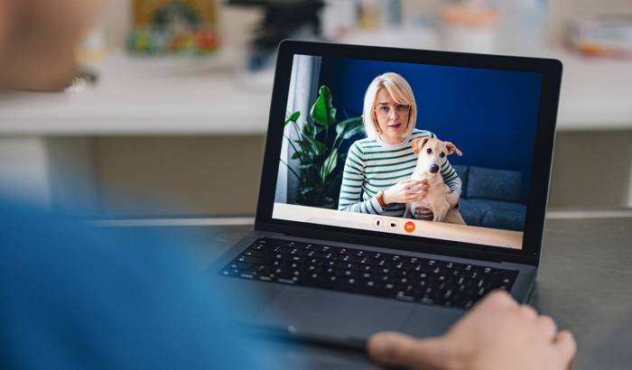 Veterinarian on telehealth call with pet owner